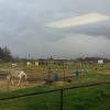 PADDOCKS