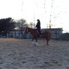 PATSY BARBO HAVE A LESSON ON TOOLEMAN