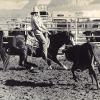 DOCS HANGING TREE1990 HIGH SCHOOL RODEO