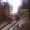 STALLS IN HORSE BARN